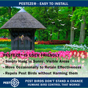 PESTEZE® USA Realistic Eagle Kite [2 Pack- 46 x 26 Inch with 13 ft Flagpole] Use in Yards & Farms to Protect Vegetables, Fruits & Crops from Pest Birds & Critters without Harming Them