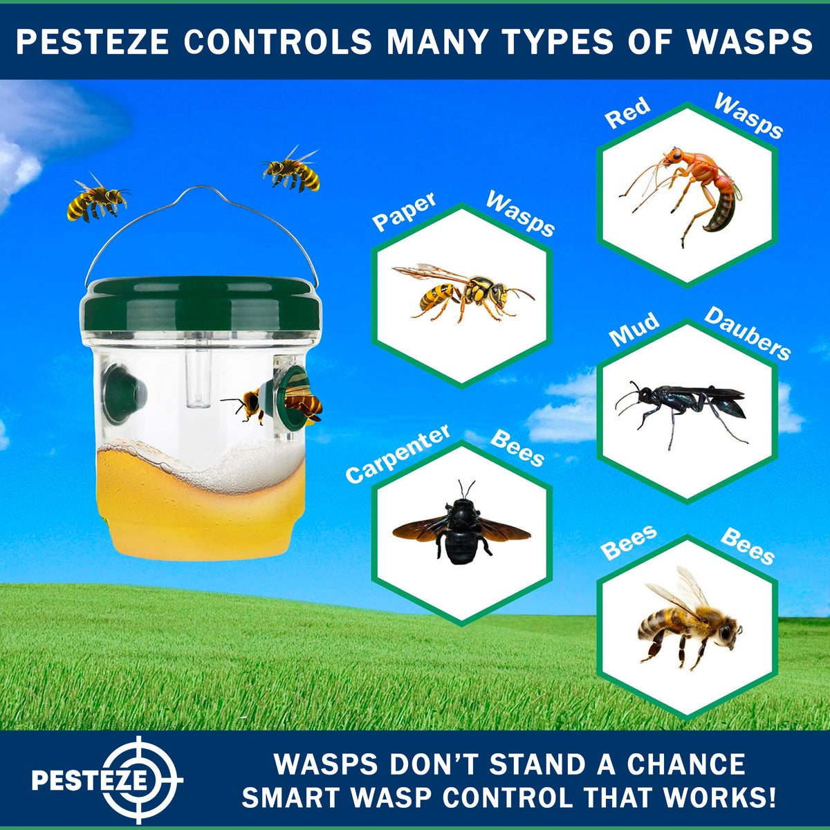 PESTEZE® USA Reusable Solar Hanging Wasp Trap with LED Light [Green: 3.5 x 4.4 Inch] Attracts, & Kills Wasp, Hornet, Yellow Jacket & Insect Species 24/7 Without Harsh Chemicals– Waterproof Outdoor Trap