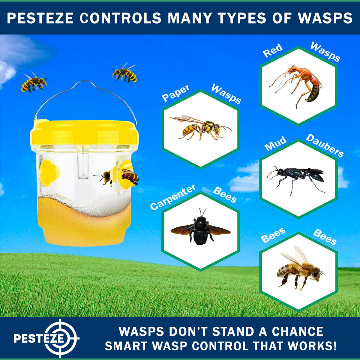 PESTEZE® USA Reusable Solar Hanging Wasp Trap with LED Light [Yellow: 3.5 x 4.4 Inch] Attracts, & Kills Wasp, Hornet, Yellow Jacket & Insect Species 24/7 Without Harsh Chemicals Waterproof Outdoor Trap