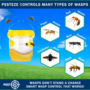 2 Pack PESTEZE® Reusable Solar Hanging Wasp Trap with LED Light [Yellow: 3.5 X 4.4 Inch] Attracts, Catches & Kills Wasp, Hornet, Yellow Jacket & Insect Species 24/7 without Harsh Chemicals. Waterproof
