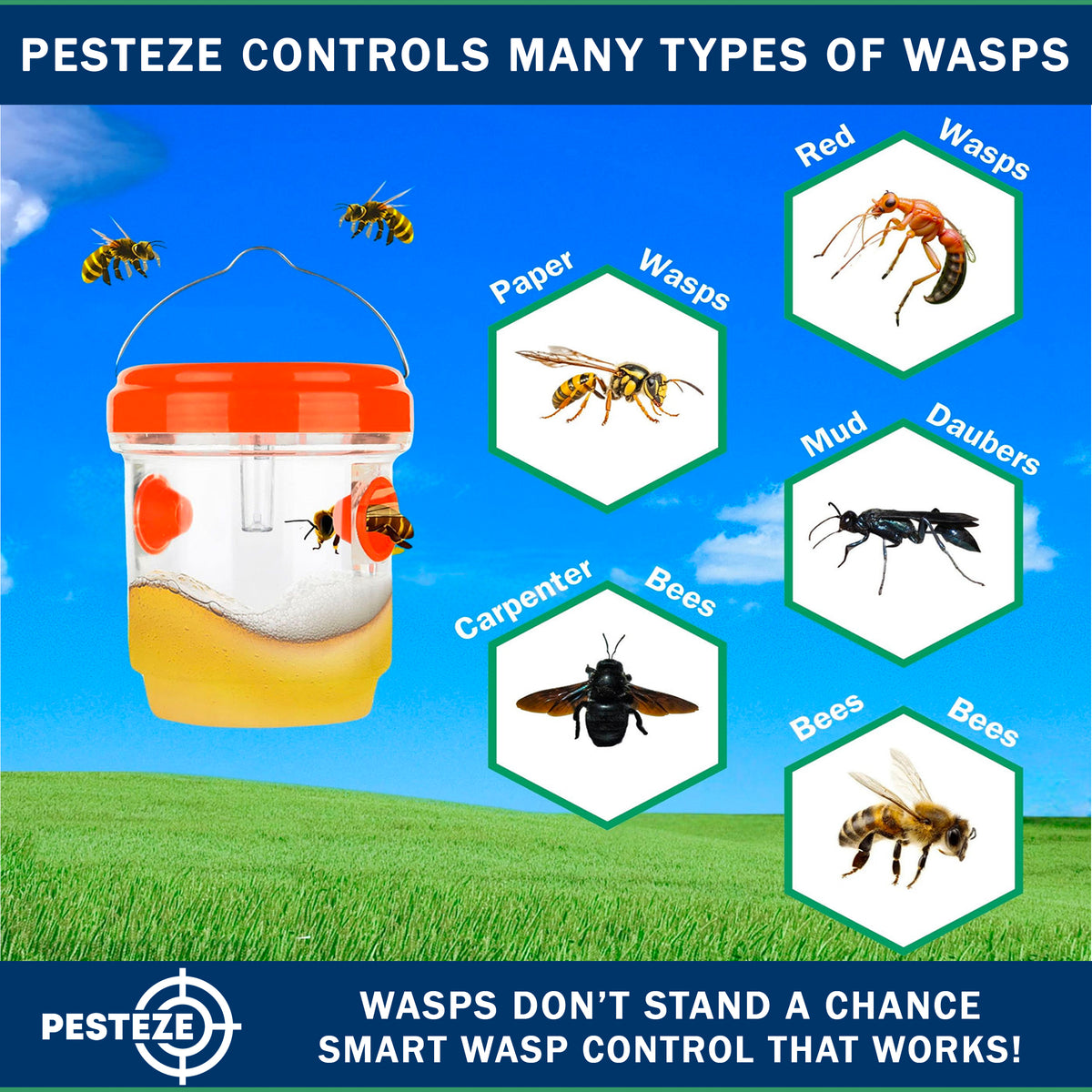 PESTEZE® USA Reusable Solar Hanging Wasp Trap with LED Light [Orange: 3.5 x 4.4 Inch] Attracts, & Kills Wasp, Hornet, Yellow Jacket & Insect Species 24/7 Without Harsh Chemicals Waterproof Outdoor Trap