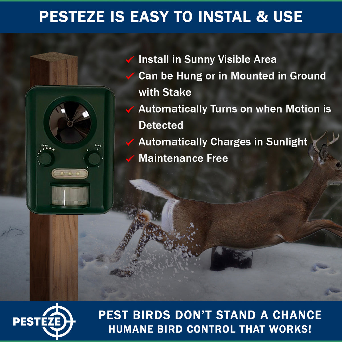 PESTEZE® Solar Ultrasonic Bird Repeller. Detects & Deters  Pest Birds like Woodpeckers, Pigeons, Crows, Ducks, Geese & Critters from Yards using Ultrasonic Sounds. Does not Harm Birds or People - Pesteze
