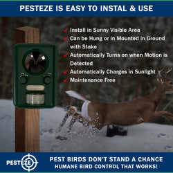 PESTEZE® Solar Ultrasonic Bird Repeller. Detects & Deters  Pest Birds like Woodpeckers, Pigeons, Crows, Ducks, Geese & Critters from Yards using Ultrasonic Sounds. Does not Harm Birds or People - Pesteze