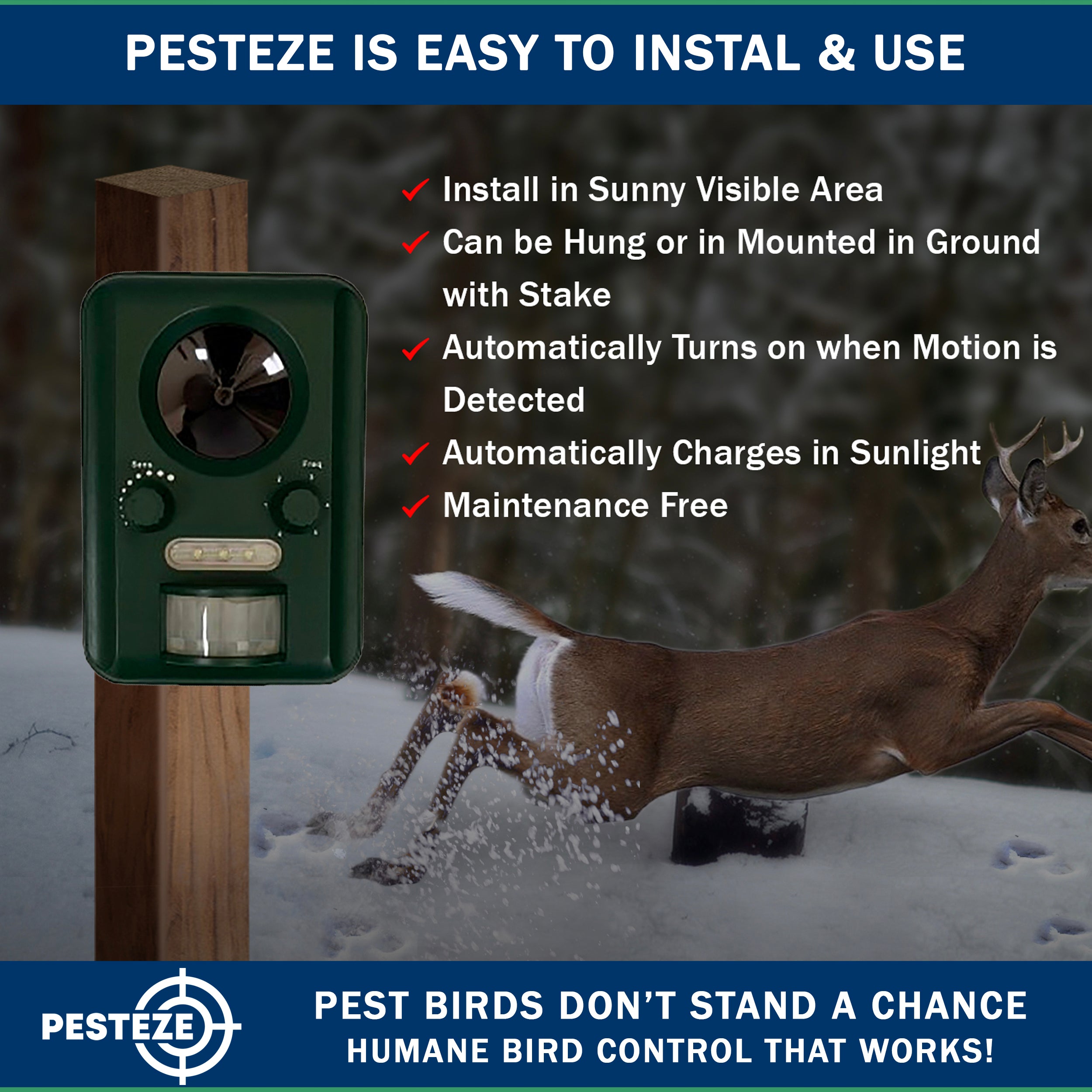 PESTEZE® Solar Ultrasonic Bird Repeller. Detects & Deters  Pest Birds like Woodpeckers, Pigeons, Crows, Ducks, Geese & Critters from Yards using Ultrasonic Sounds. Does not Harm Birds or People - Pesteze
