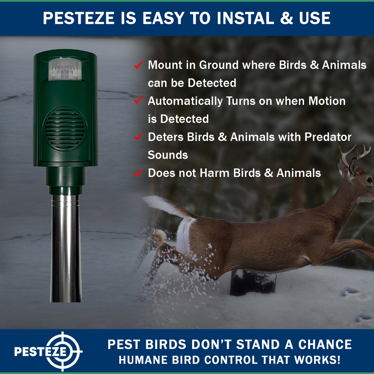 PESTEZE® Battery Bird Sound Repeller. Detects & Deters Pest Birds with Predator Sounds without Harming them to Protect Property. Use to Repel Woodpeckers, Pigeons, Crows, Ducks, Geese & Critters - Pesteze