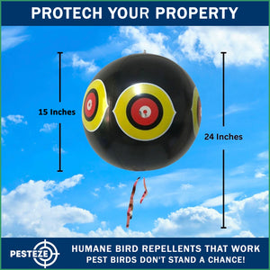PESTEZE® Large 15" Black Bird Scare-Eye Balloon Decoy [1 Pack]  Deters Unwanted Pest Birds like Pigeons, Gulls, Geese & Critters from Pools & Yards Without Harming Them To Protect Property