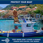 PESTEZE® USA Hawk Kite [47x27 Inch Kite with 13 Ft Flagpole] Provides Humane Bird Deterrence in Yards & Farms. Protects Vegetables, Fruits & Crops from Pest Birds & Critters