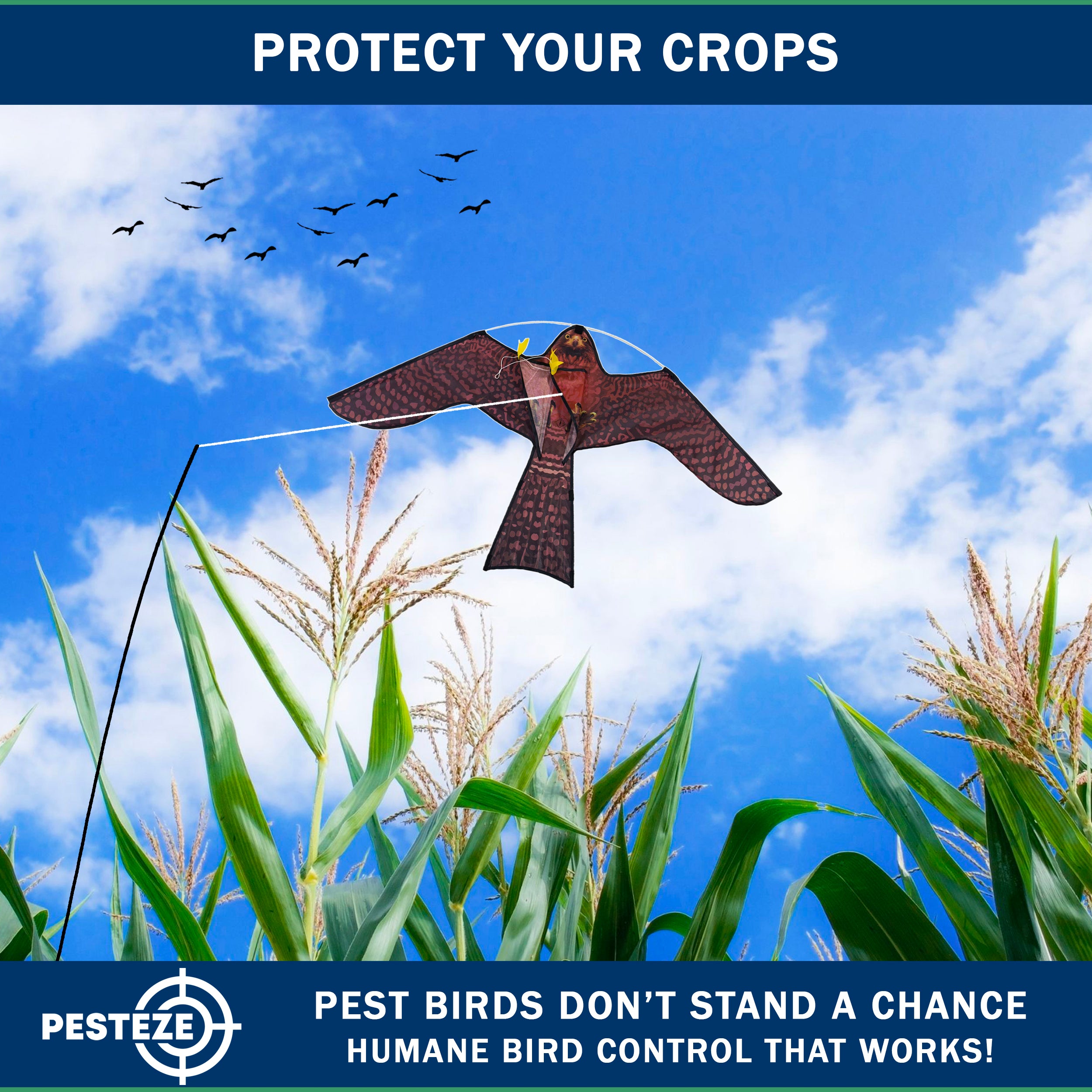 PESTEZE® USA Realistic Hawk Bird Scarer Kite [46 x 26 Inch with 13 ft Flagpole]. Use in Yards & Farms to Protect Vegetables, Fruits, Crops & Buildings from Pest Birds & Critters without Harming Them