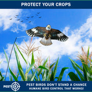 PESTEZE® USA Flying Hawk Bird Deterrent Kite, 13 ft Pole– Realistic 54x30 Inch Hawk Decoy Scare Device for Gardens, Yards, Boats & Farms– Repels Pest Birds like Crows, Pigeons, Seagulls, Geese Humanely