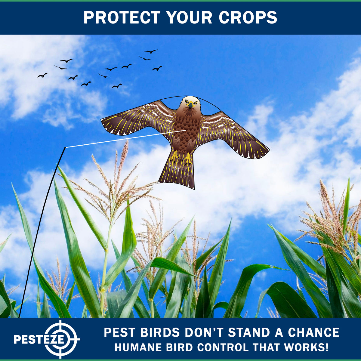 PESTEZE® USA Hawk Kite [47x27 Inch Kite with 13 Ft Flagpole] Provides Humane Bird Deterrence in Yards & Farms. Protects Vegetables, Fruits & Crops from Pest Birds & Critters