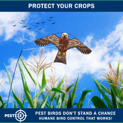 PESTEZE® USA Hawk Kite [47x27 Inch Kite with 13 Ft Flagpole] Provides Humane Bird Deterrence in Yards & Farms. Protects Vegetables, Fruits & Crops from Pest Birds & Critters