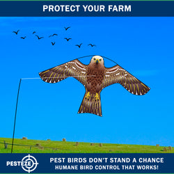 PESTEZE® USA Hawk Kite [47x27 Inch Kite with 13 Ft Flagpole] Provides Humane Bird Deterrence in Yards & Farms. Protects Vegetables, Fruits & Crops from Pest Birds & Critters