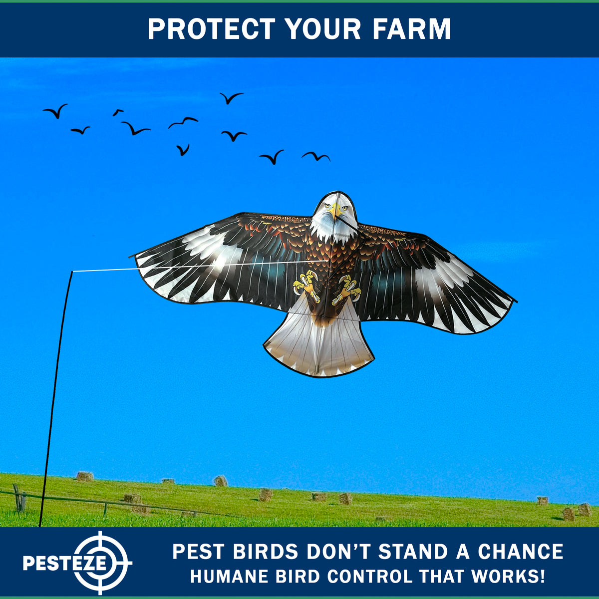 PESTEZE® USA Flying Hawk Bird Deterrent Kite, 13 ft Pole– Realistic 54x30 Inch Hawk Decoy Scare Device for Gardens, Yards, Boats & Farms– Repels Pest Birds like Crows, Pigeons, Seagulls, Geese Humanely