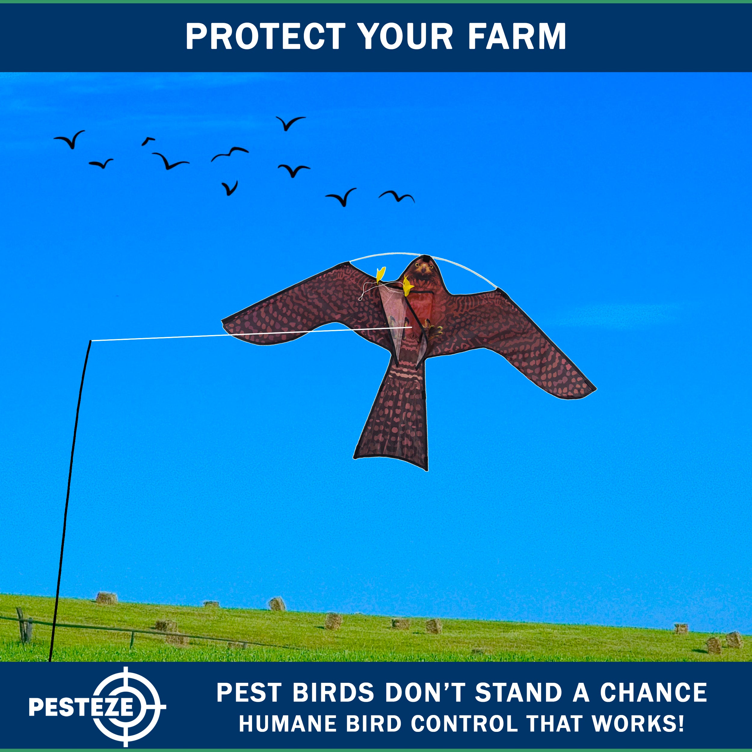 PESTEZE® USA Realistic Hawk Bird Scarer Kite [46 x 26 Inch with 13 ft Flagpole]. Use in Yards & Farms to Protect Vegetables, Fruits, Crops & Buildings from Pest Birds & Critters without Harming Them