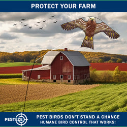 PESTEZE® USA Hawk Kite [47x27 Inch Kite with 13 Ft Flagpole] Provides Humane Bird Deterrence in Yards & Farms. Protects Vegetables, Fruits & Crops from Pest Birds & Critters