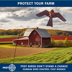 PESTEZE® USA Realistic Hawk Bird Scarer Kite [46 x 26 Inch with 13 ft Flagpole]. Use in Yards & Farms to Protect Vegetables, Fruits, Crops & Buildings from Pest Birds & Critters without Harming Them
