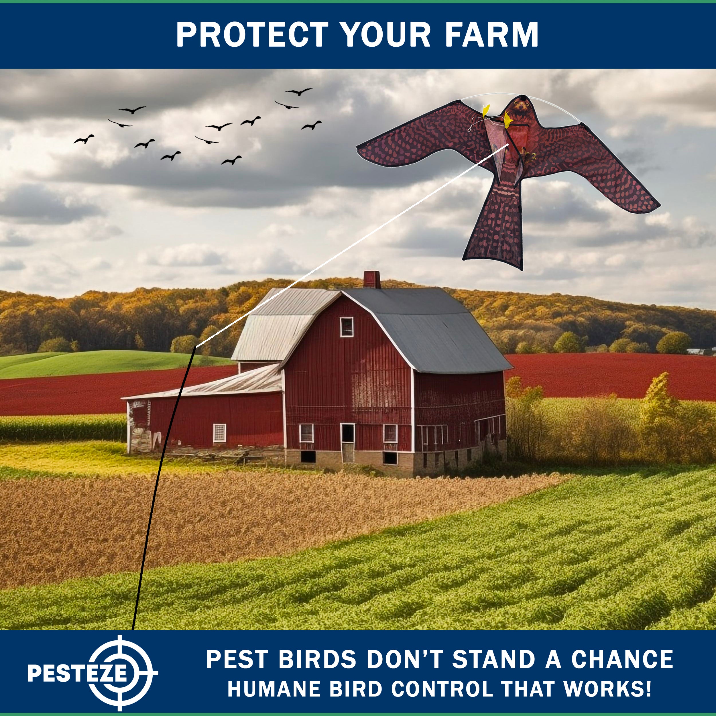 PESTEZE® USA Realistic Hawk Bird Scarer Kite [46 x 26 Inch with 13 ft Flagpole]. Use in Yards & Farms to Protect Vegetables, Fruits, Crops & Buildings from Pest Birds & Critters without Harming Them