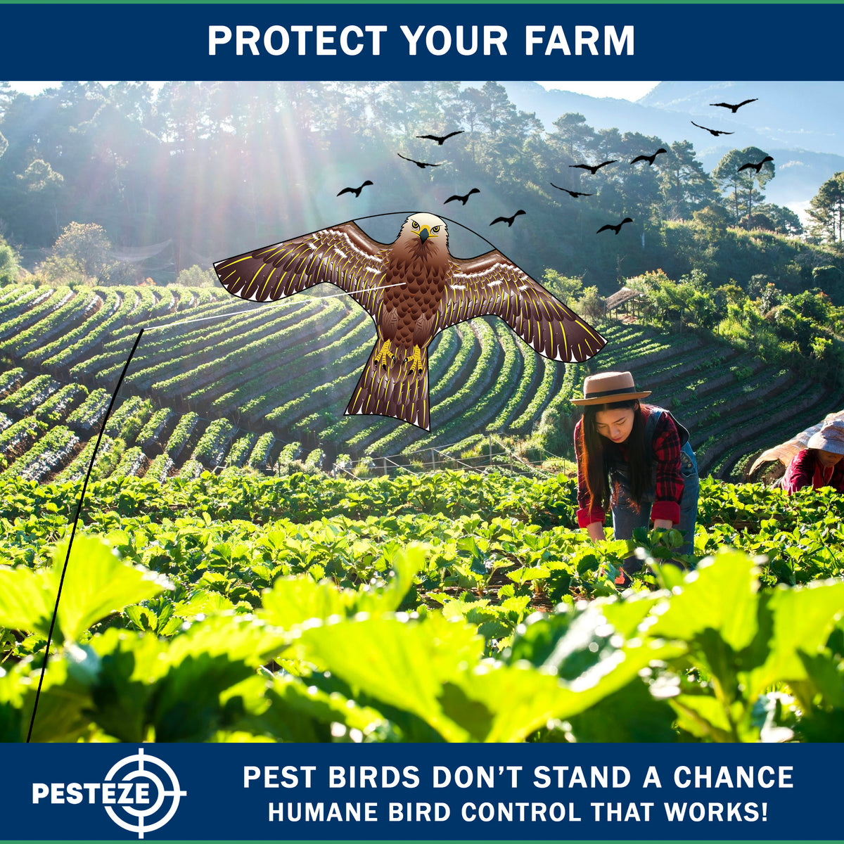 PESTEZE® USA Hawk Kite [47x27 Inch Kite with 13 Ft Flagpole] Provides Humane Bird Deterrence in Yards & Farms. Protects Vegetables, Fruits & Crops from Pest Birds & Critters