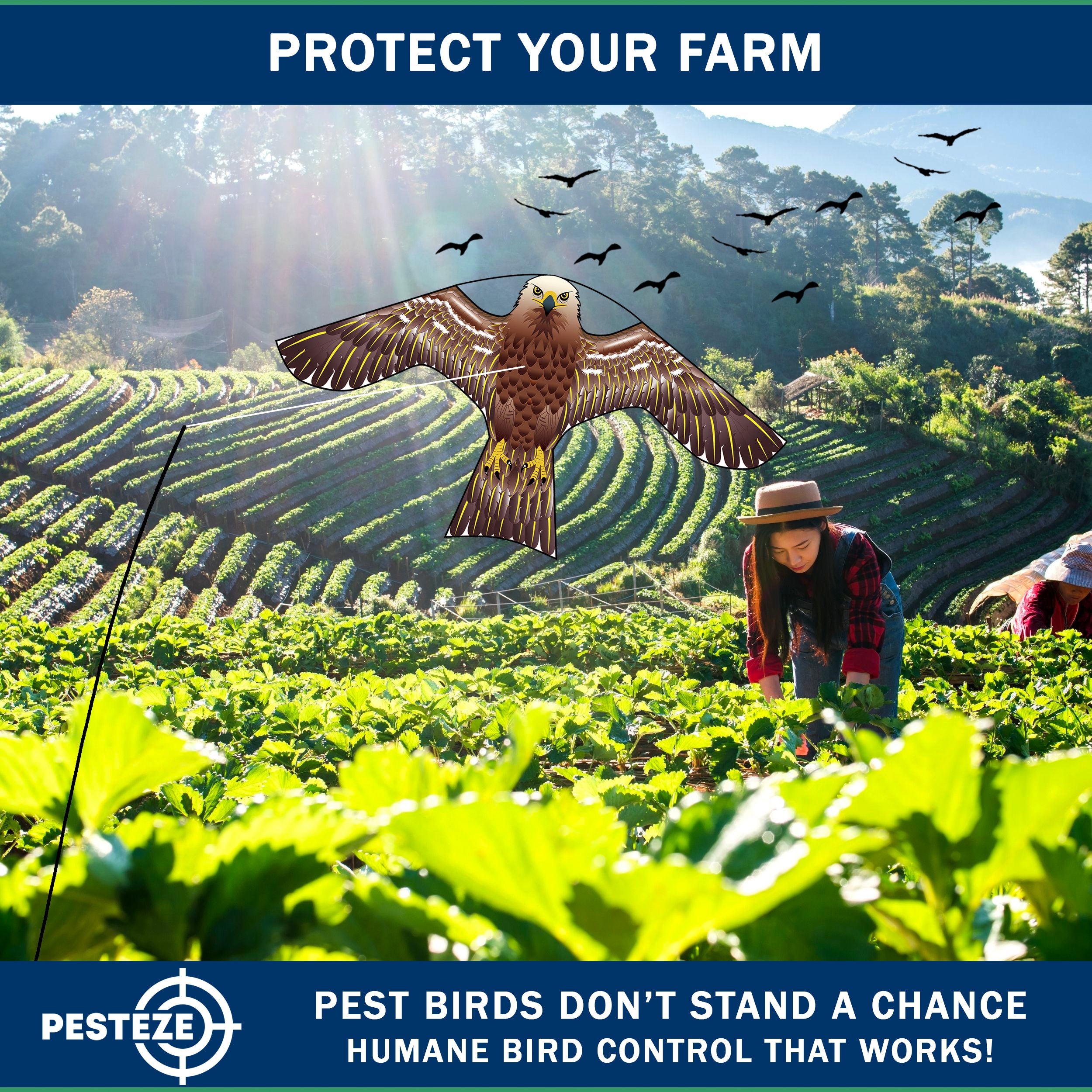 PESTEZE® USA Hawk Kite [47x27 Inch Kite with 13 Ft Flagpole] Provides Humane Bird Deterrence in Yards & Farms. Protects Vegetables, Fruits & Crops from Pest Birds & Critters