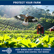 PESTEZE® USA Flying Hawk Bird Deterrent Kite, 13 ft Pole– Realistic 54x30 Inch Hawk Decoy Scare Device for Gardens, Yards, Boats & Farms– Repels Pest Birds like Crows, Pigeons, Seagulls, Geese Humanely
