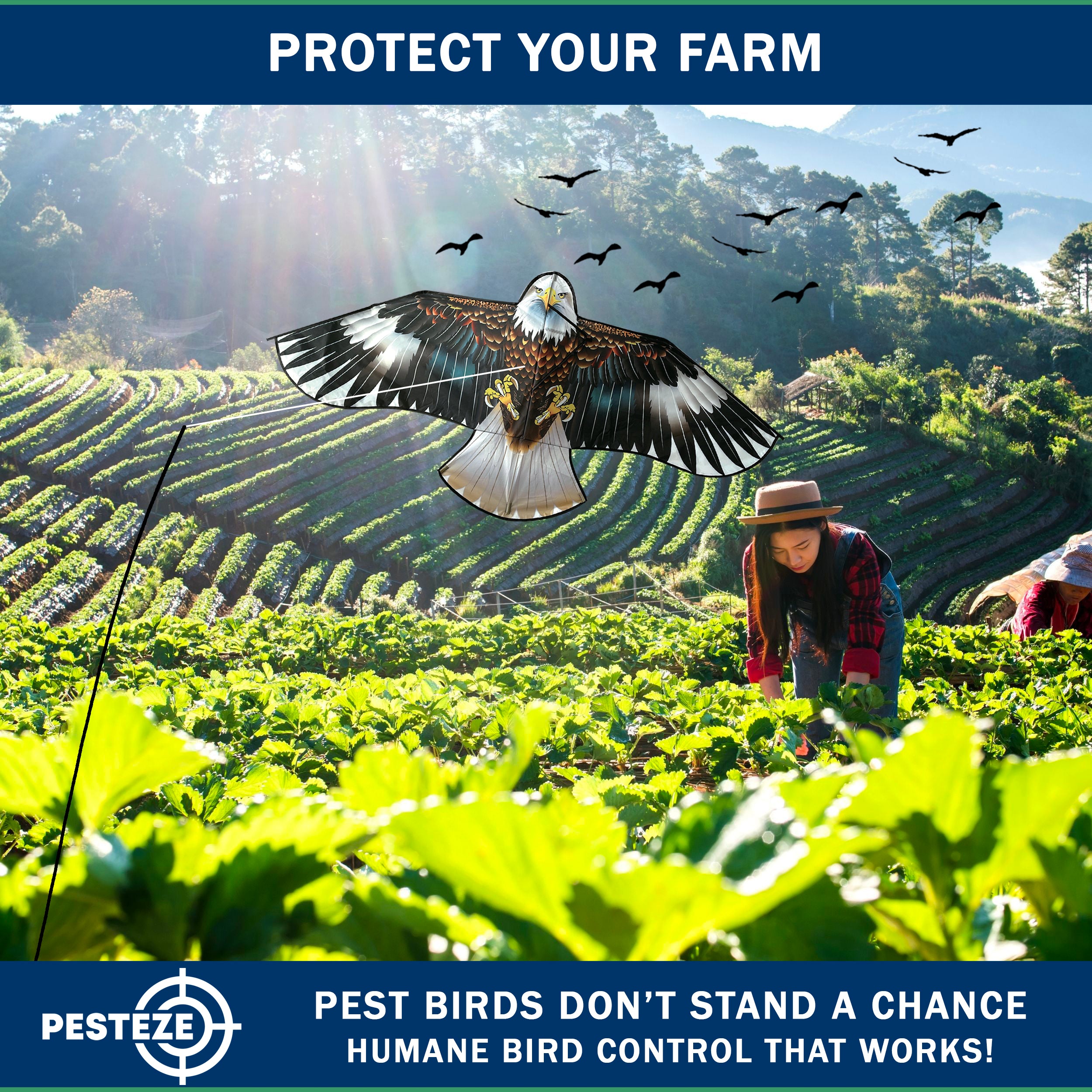 PESTEZE® Black Flying Hawk 54 x 30 Inch Kite Bird Deterrent with 13 ft Flagpole. Use in Yards & Farms to Protect Vegetables, Fruits, Crops & Property from Pest Birds & Critters without Harming them