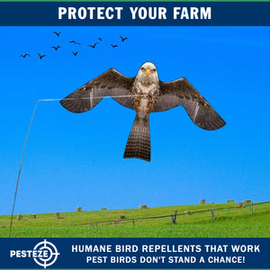 PESTEZE® MULTI-COLORED Flying Eagle 4 54 x 30 Inch Kite Bird Deterrent with 13 ft Flagpole. Use in Yards & Farms to Protect Vegetables, Fruits & Crops from Pest Birds & Critters without Harming them
