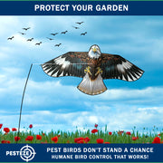 PESTEZE® USA Flying Hawk Bird Deterrent Kite, 13 ft Pole– Realistic 54x30 Inch Hawk Decoy Scare Device for Gardens, Yards, Boats & Farms– Repels Pest Birds like Crows, Pigeons, Seagulls, Geese Humanely