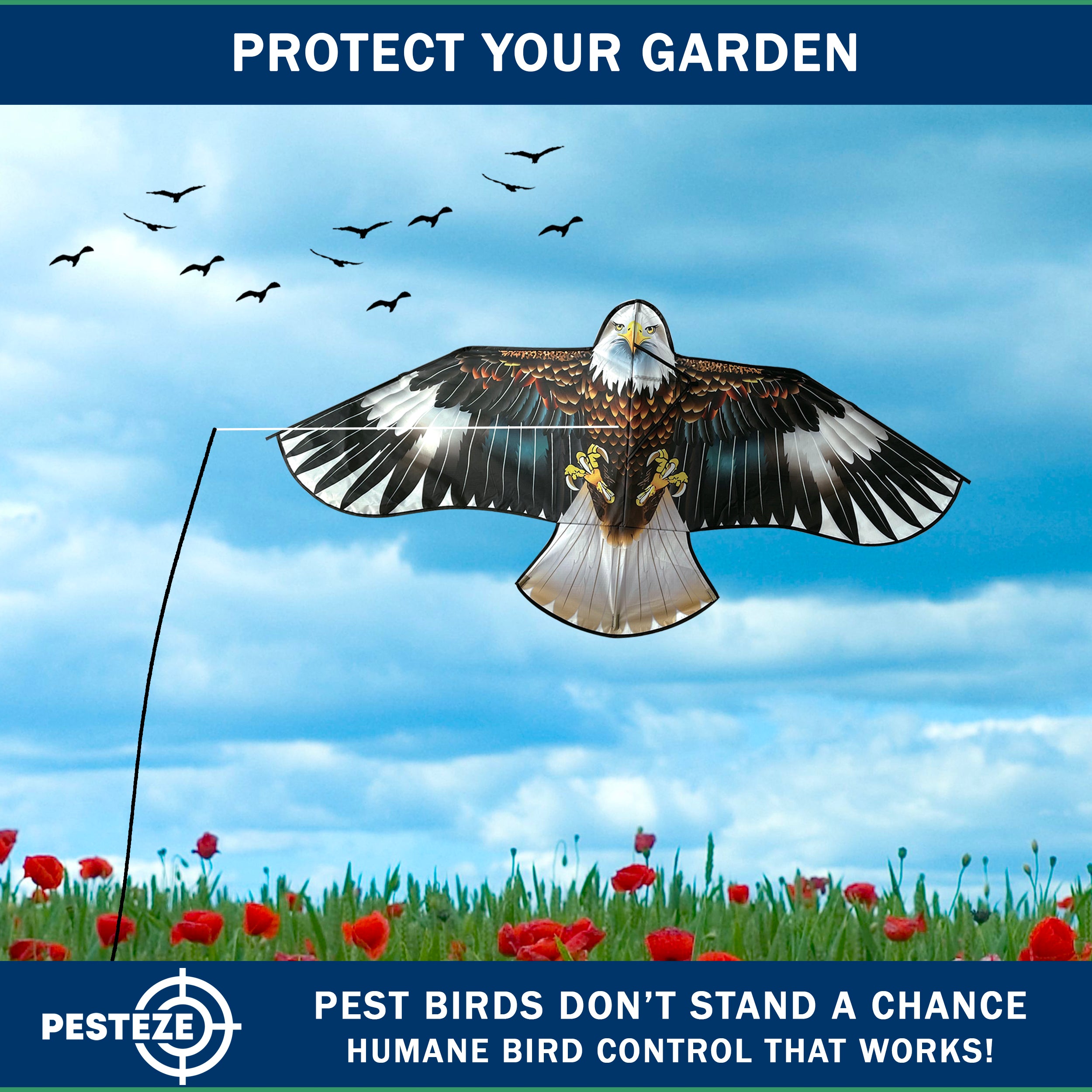 PESTEZE® Black Flying Hawk 54 x 30 Inch Kite Bird Deterrent with 13 ft Flagpole. Use in Yards & Farms to Protect Vegetables, Fruits, Crops & Property from Pest Birds & Critters without Harming them