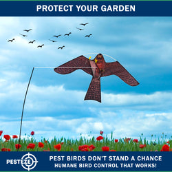 PESTEZE® USA Realistic Hawk Bird Scarer Kite [46 x 26 Inch with 13 ft Flagpole]. Use in Yards & Farms to Protect Vegetables, Fruits, Crops & Buildings from Pest Birds & Critters without Harming Them