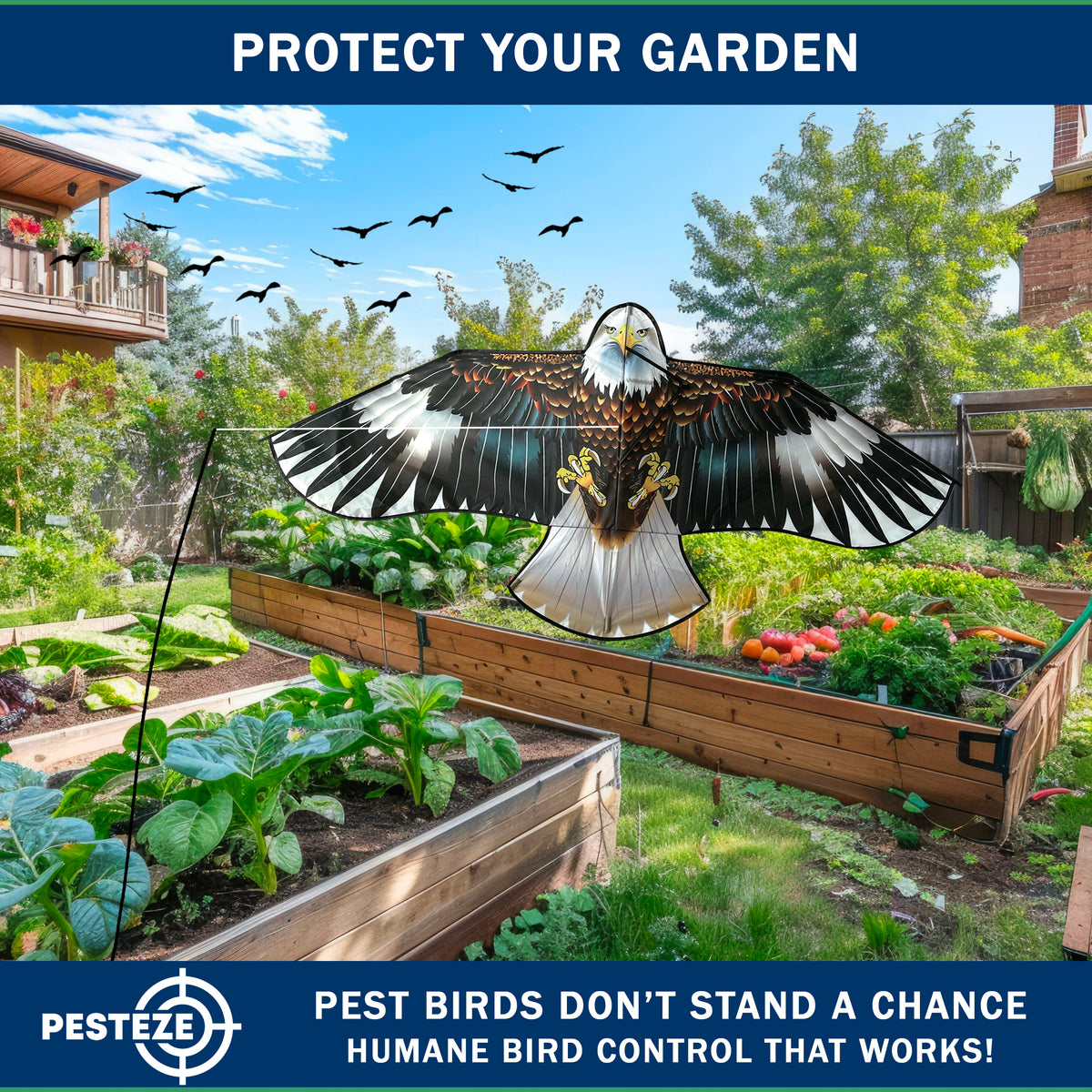 PESTEZE® USA Flying Hawk Bird Deterrent Kite, 13 ft Pole– Realistic 54x30 Inch Hawk Decoy Scare Device for Gardens, Yards, Boats & Farms– Repels Pest Birds like Crows, Pigeons, Seagulls, Geese Humanely