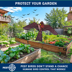 PESTEZE® USA Realistic Hawk Bird Scarer Kite [46 x 26 Inch with 13 ft Flagpole]. Use in Yards & Farms to Protect Vegetables, Fruits, Crops & Buildings from Pest Birds & Critters without Harming Them
