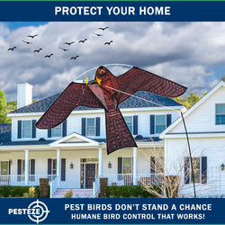 PESTEZE® USA Realistic Hawk Bird Scarer Kite [46 x 26 Inch with 13 ft Flagpole]. Use in Yards & Farms to Protect Vegetables, Fruits, Crops & Buildings from Pest Birds & Critters without Harming Them