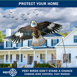 PESTEZE® Black Flying Hawk 54 x 30 Inch Kite Bird Deterrent with 13 ft Flagpole. Use in Yards & Farms to Protect Vegetables, Fruits, Crops & Property from Pest Birds & Critters without Harming them