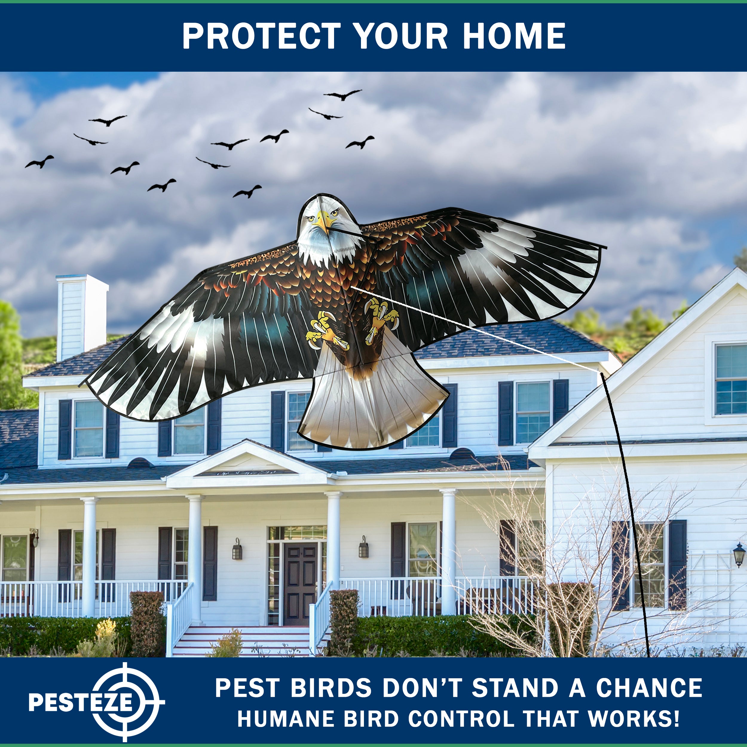 PESTEZE® Black Flying Hawk 54 x 30 Inch Kite Bird Deterrent with 13 ft Flagpole. Use in Yards & Farms to Protect Vegetables, Fruits, Crops & Property from Pest Birds & Critters without Harming them