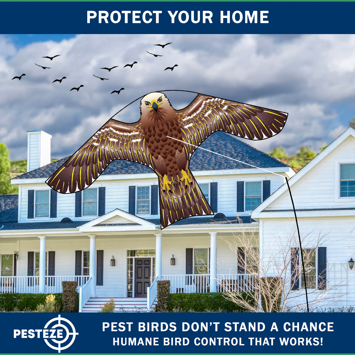 PESTEZE® USA Hawk Kite [47x27 Inch Kite with 13 Ft Flagpole] Provides Humane Bird Deterrence in Yards & Farms. Protects Vegetables, Fruits & Crops from Pest Birds & Critters