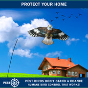 PESTEZE® USA Flying Hawk Bird Deterrent Kite, 13 ft Pole– Realistic 54x30 Inch Hawk Decoy Scare Device for Gardens, Yards, Boats & Farms– Repels Pest Birds like Crows, Pigeons, Seagulls, Geese Humanely