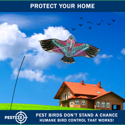 PESTEZE® USA Huge Red Eagle Kite [60x28 Inch Kite with 13 Ft Flagpole] Provides Humane Bird Deterrence in Yards & Farms. Protects Vegetables, Fruits & Crops from Pest Birds & Critters