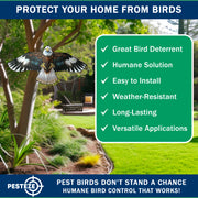 PESTEZE® USA Flying Hawk Bird Deterrent Kite, 13 ft Pole– Realistic 54x30 Inch Hawk Decoy Scare Device for Gardens, Yards, Boats & Farms– Repels Pest Birds like Crows, Pigeons, Seagulls, Geese Humanely