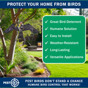 PESTEZE® USA Realistic Eagle Kite [2 Pack- 46 x 26 Inch with 13 ft Flagpole] Use in Yards & Farms to Protect Vegetables, Fruits & Crops from Pest Birds & Critters without Harming Them