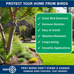 PESTEZE® USA Realistic Eagle Kite [46 x 26 Inch with 13 ft Flagpole] Use in Yards & Farms to Protect Vegetables, Fruits & Crops from Pest Birds & Critters without Harming Them