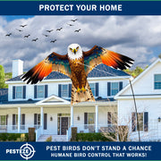 PESTEZE® USA Brown Eagle Bird Deterrent Kite with 13 ft Flagpole - Use in Yards & Farms to Protect Vegetables, Fruits, Crops & Property from Pest Birds