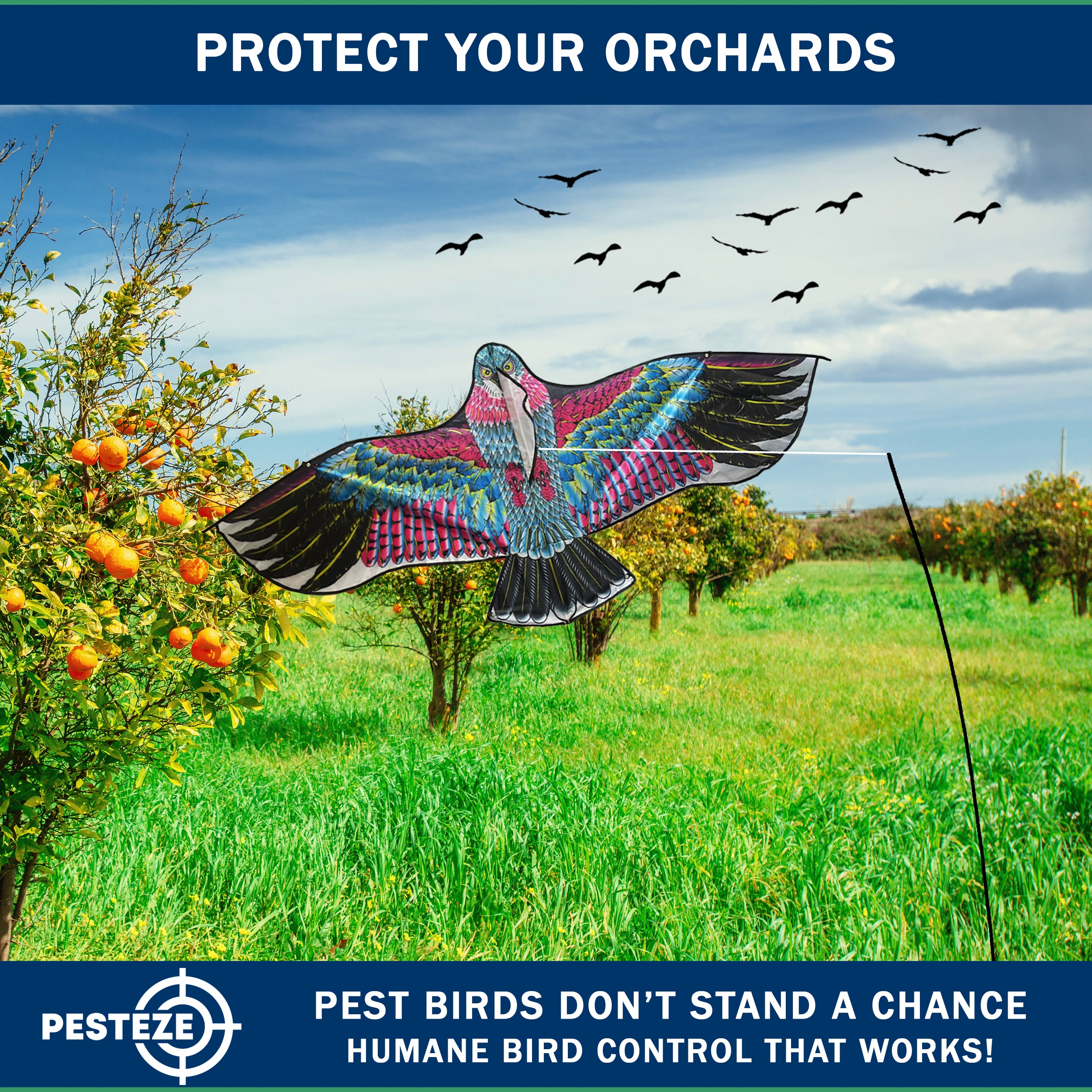 PESTEZE® USA Huge Red Eagle Kite [60x28 Inch Kite with 13 Ft Flagpole] Provides Humane Bird Deterrence in Yards & Farms. Protects Vegetables, Fruits & Crops from Pest Birds & Critters