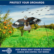 PESTEZE® USA Flying Hawk Bird Deterrent Kite, 13 ft Pole– Realistic 54x30 Inch Hawk Decoy Scare Device for Gardens, Yards, Boats & Farms– Repels Pest Birds like Crows, Pigeons, Seagulls, Geese Humanely