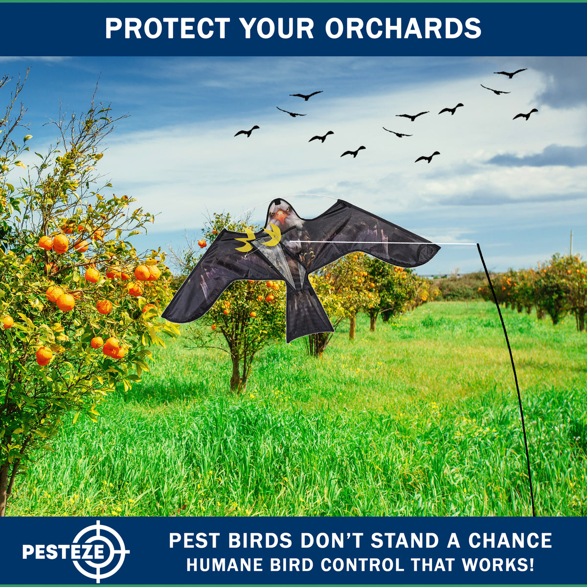 PESTEZE® USA Realistic Eagle Kite [2 Pack- 46 x 26 Inch with 13 ft Flagpole] Use in Yards & Farms to Protect Vegetables, Fruits & Crops from Pest Birds & Critters without Harming Them
