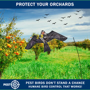 PESTEZE® USA Realistic Eagle Kite [2 Pack- 46 x 26 Inch with 13 ft Flagpole] Use in Yards & Farms to Protect Vegetables, Fruits & Crops from Pest Birds & Critters without Harming Them