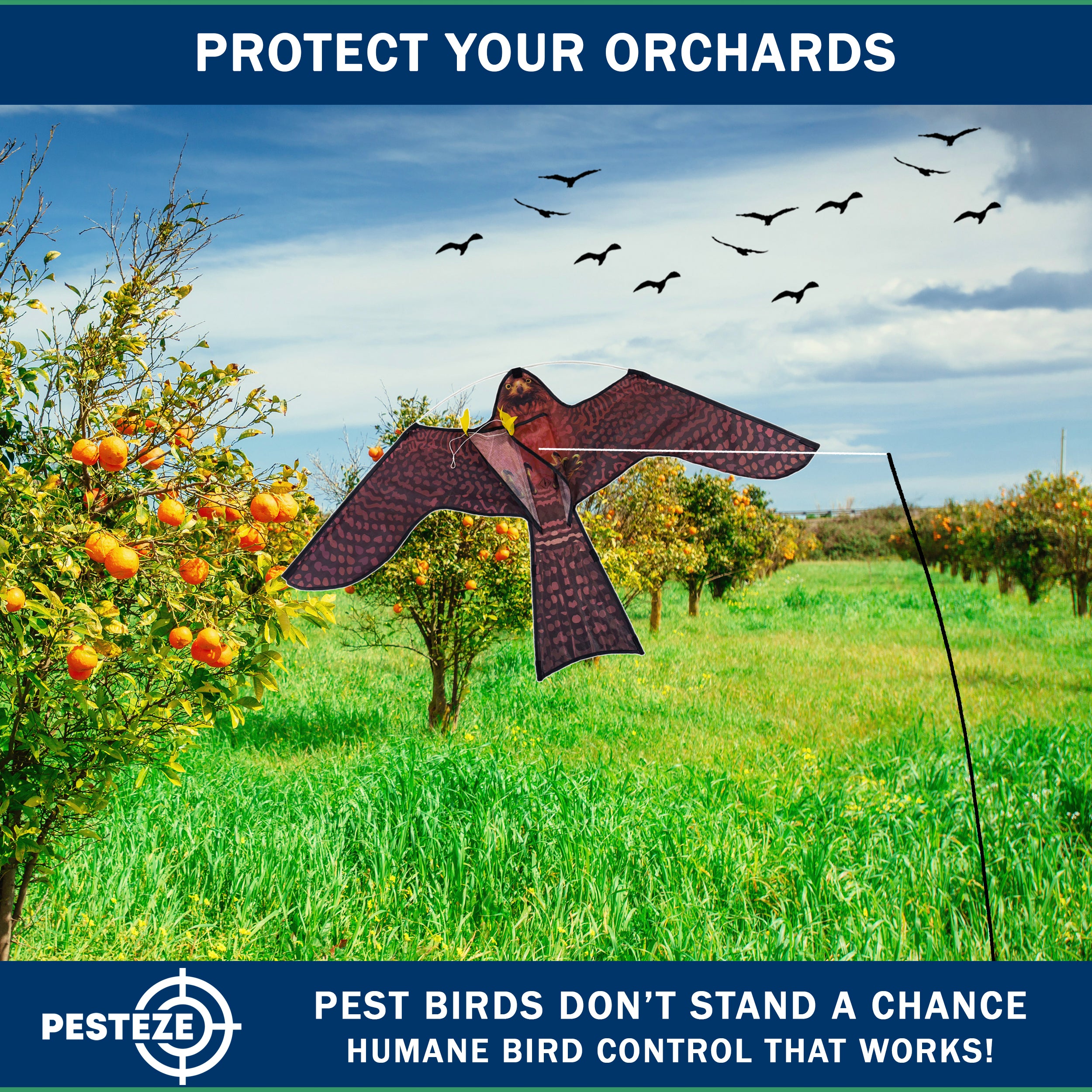 PESTEZE® USA Realistic Hawk Bird Scarer Kite [46 x 26 Inch with 13 ft Flagpole]. Use in Yards & Farms to Protect Vegetables, Fruits, Crops & Buildings from Pest Birds & Critters without Harming Them