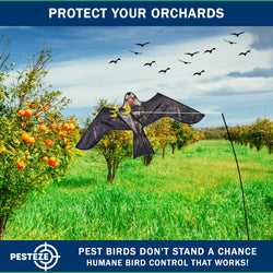 PESTEZE® USA Realistic Eagle Kite [46 x 26 Inch with 13 ft Flagpole] Use in Yards & Farms to Protect Vegetables, Fruits & Crops from Pest Birds & Critters without Harming Them