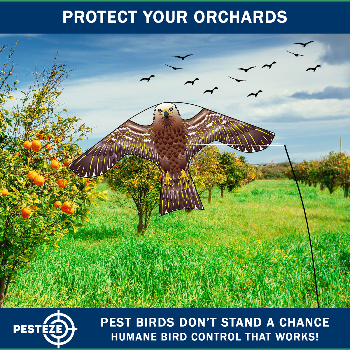 PESTEZE® USA Hawk Kite [47x27 Inch Kite with 13 Ft Flagpole] Provides Humane Bird Deterrence in Yards & Farms. Protects Vegetables, Fruits & Crops from Pest Birds & Critters