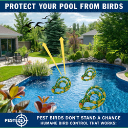 PESTEZE® USA 27 Inch Inflatable Snake [3 Pack - Yellow-Green Color] Predators Pest Birds  like Woodpeckers, Sparrows, Pigeons, Crows, Gulls & Critters from Pools & Yards without Harming them to Protect Property