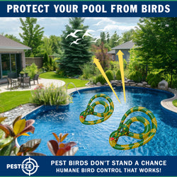 PESTEZE® USA 27 Inch Inflatible Snake [2 Pack Curly Yellow-Green Color] Scares Pest Birds Like Ducks Woodpeckers, Sparrows, Pigeons, Crows, Gulls & Critters from Pools & Yards Without Harming them to Protect Property